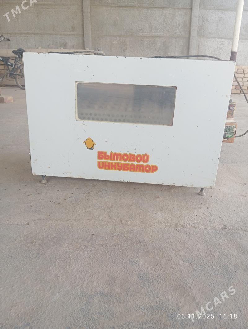 Inkawator - Murgap - img 2