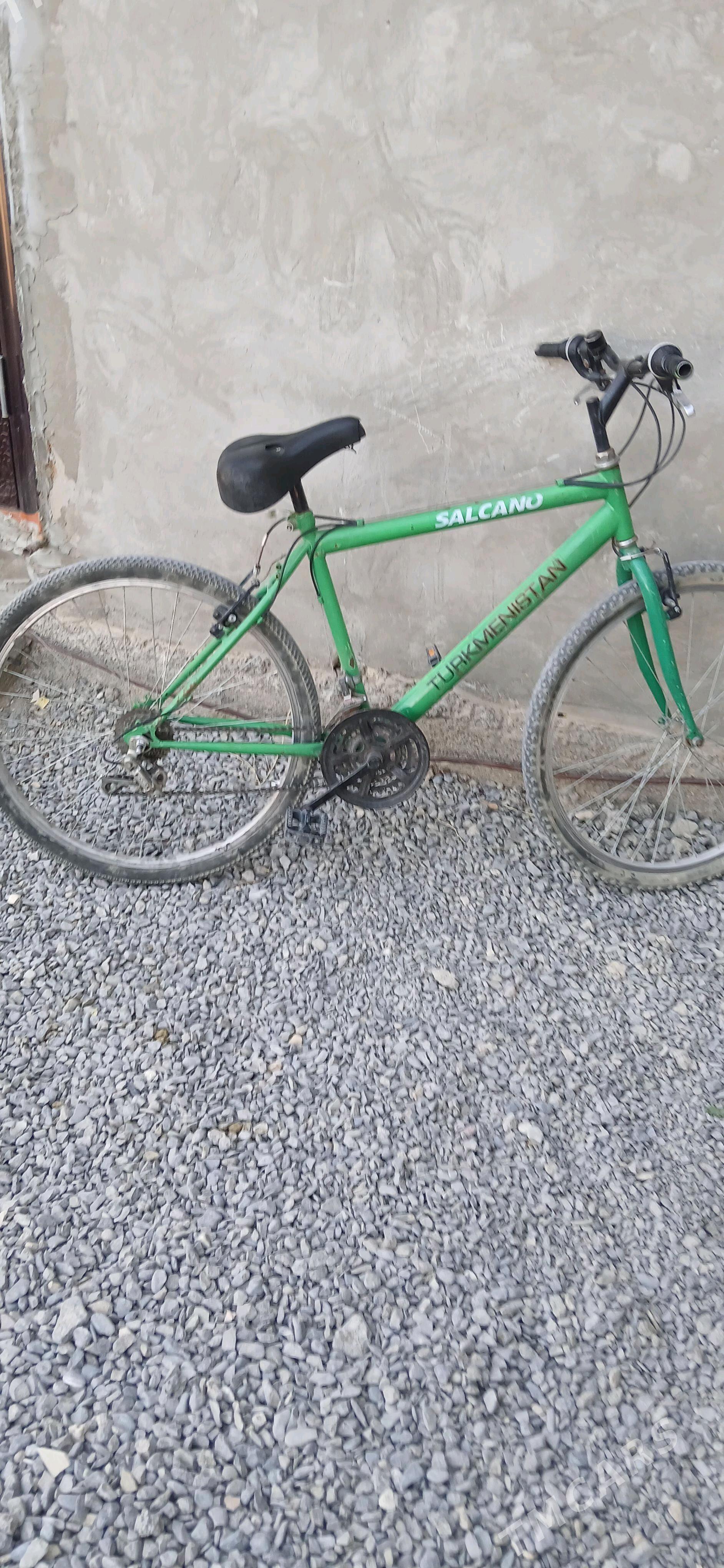 tigir - Gökdepe - img 2