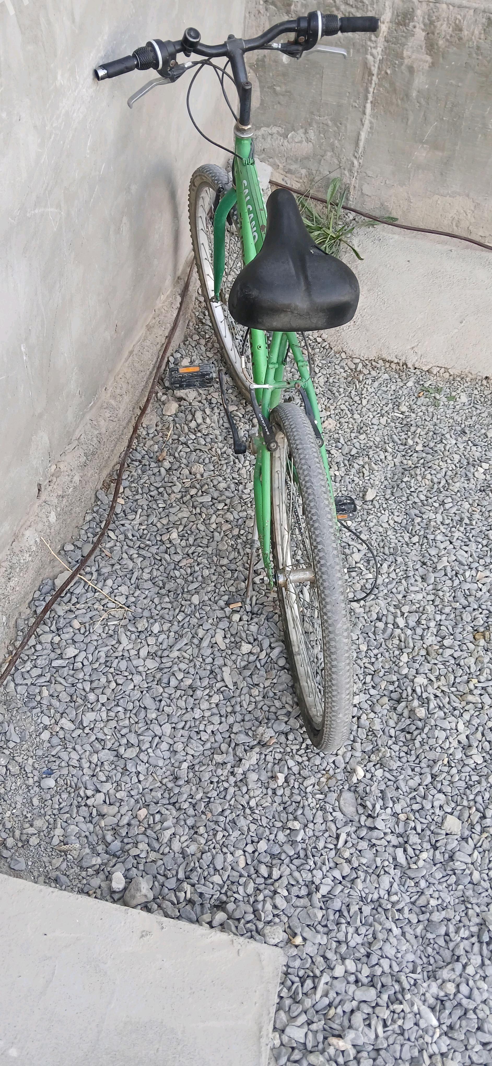 tigir - Gökdepe - img 1