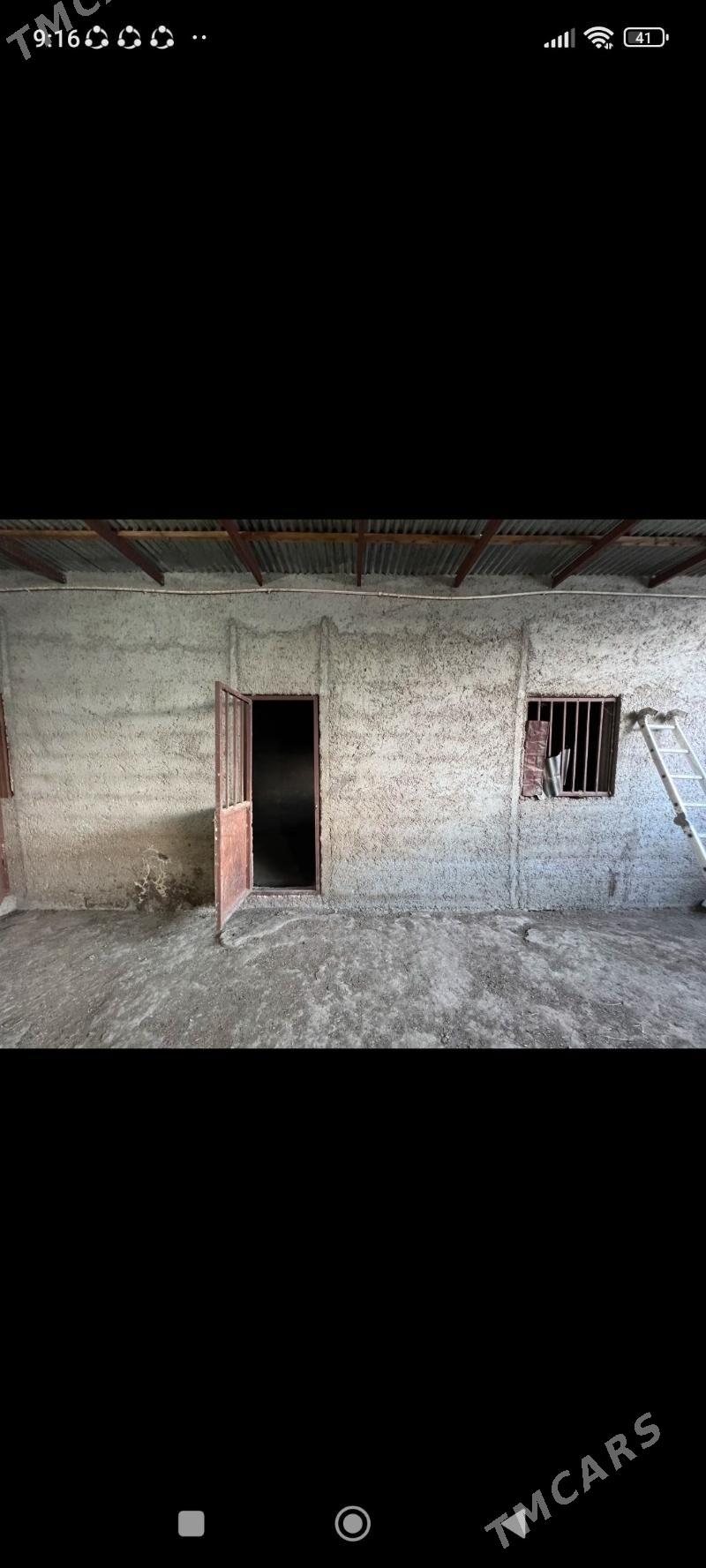 ferme we jay - Gyzylarbat - img 9