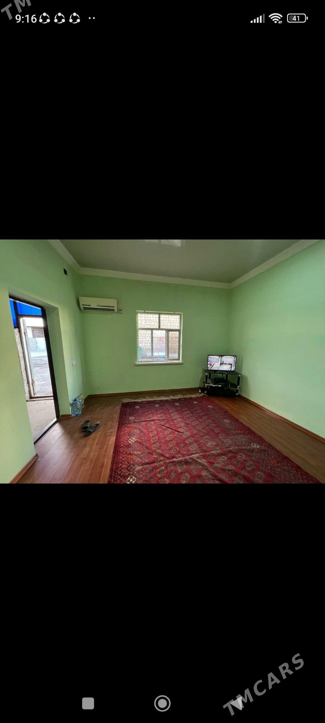 ferme we jay - Gyzylarbat - img 5