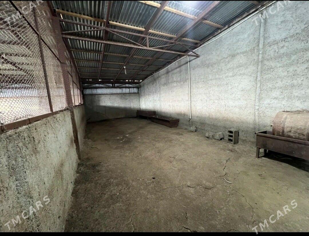 ferme we jay - Gyzylarbat - img 3