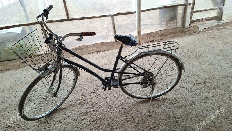 tigir - Büzmeýin - img 2