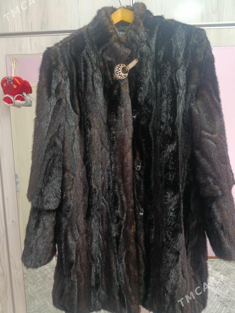 Шуба - Туркменбаши - img 1