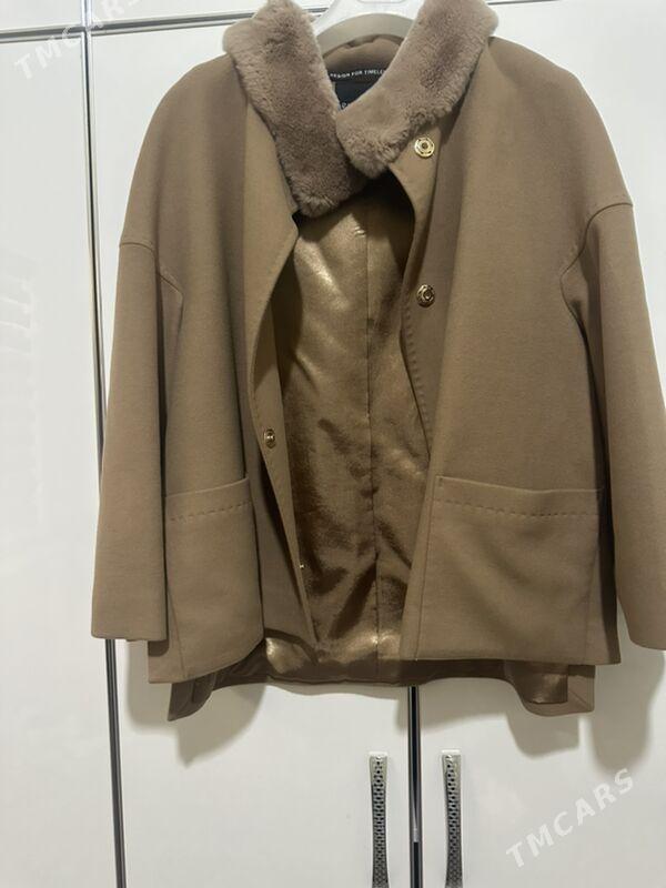 palto - Багир - img 2