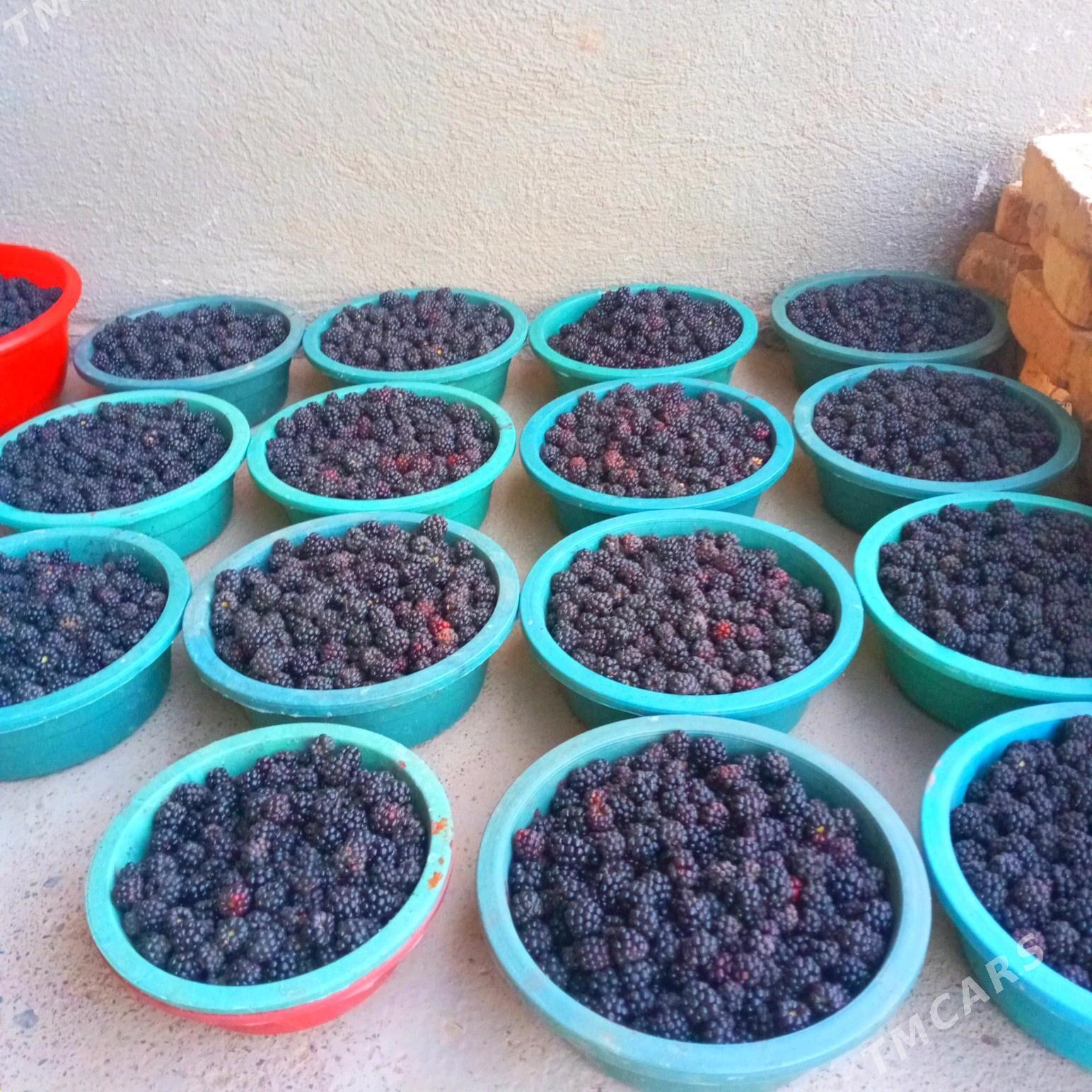 Böwürslen - Векильбазар - img 9