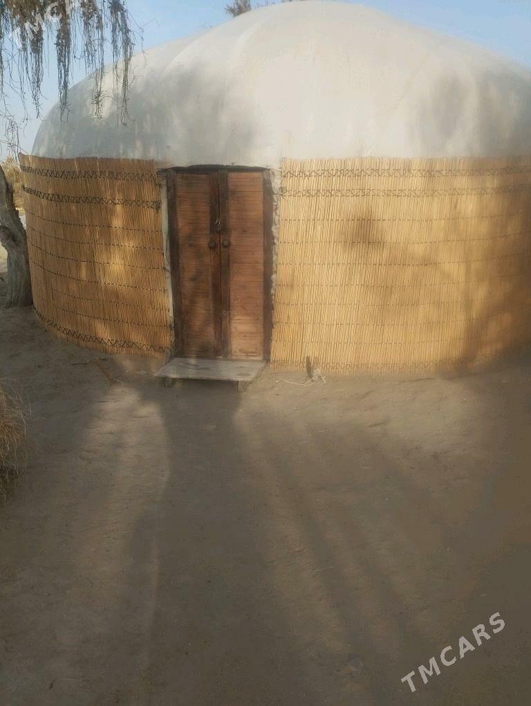 Kafe isci gerek - Ýolöten - img 3