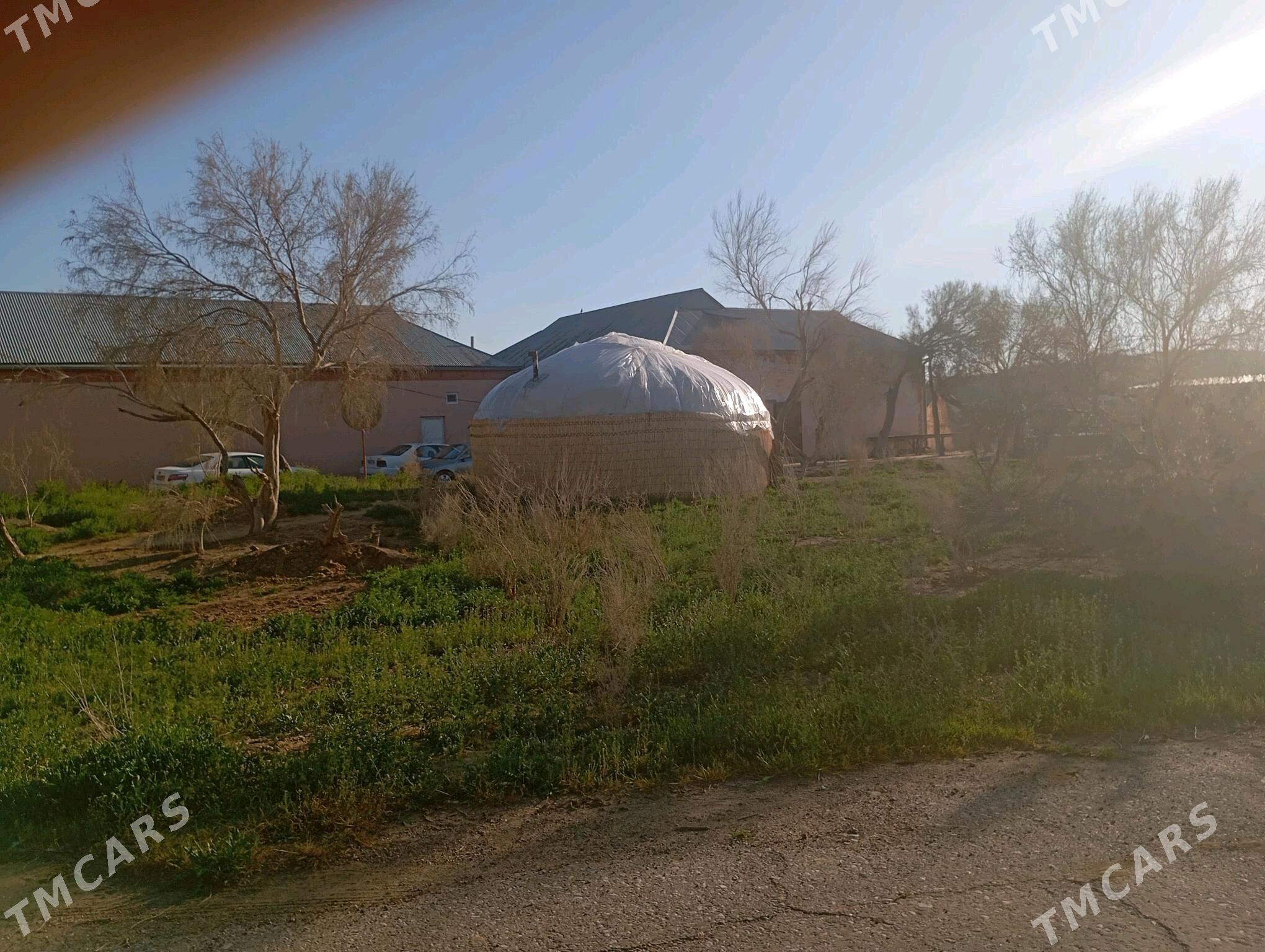 Kafe isci gerek - Ýolöten - img 5