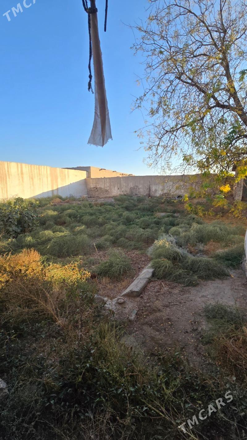 ЖДП 4соток 4комнат - Дашогуз - img 6