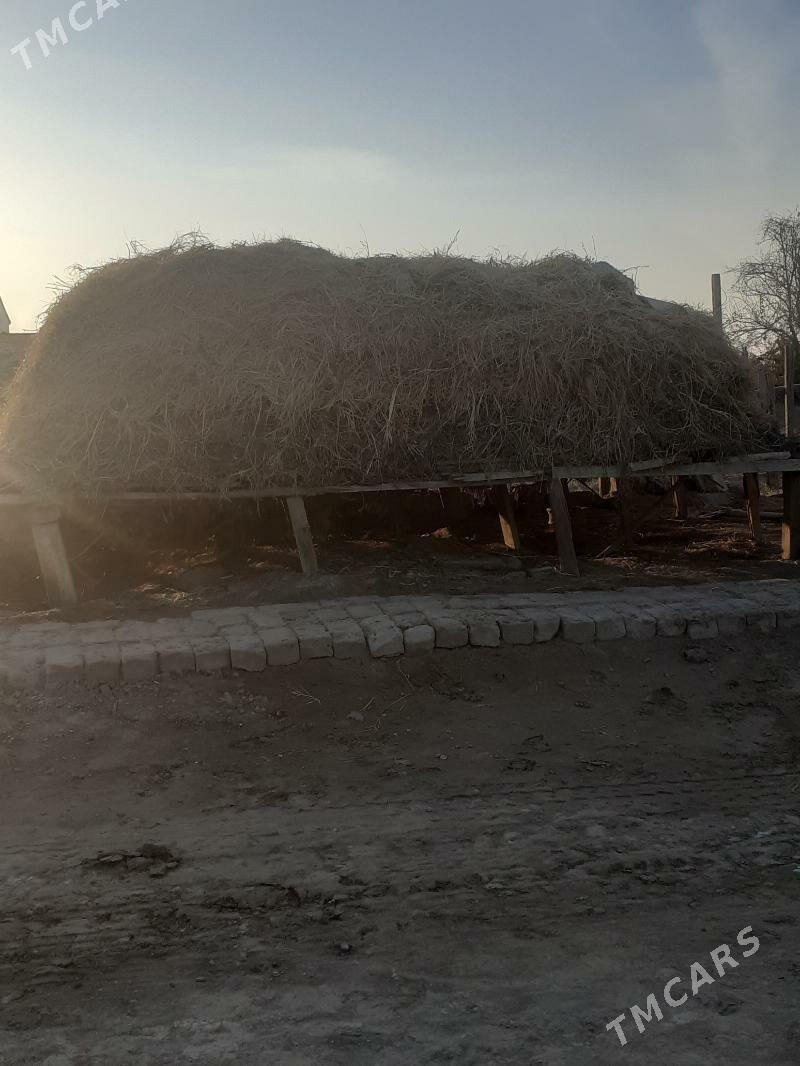 haşal yorunja garlan ot - Байрамали - img 3