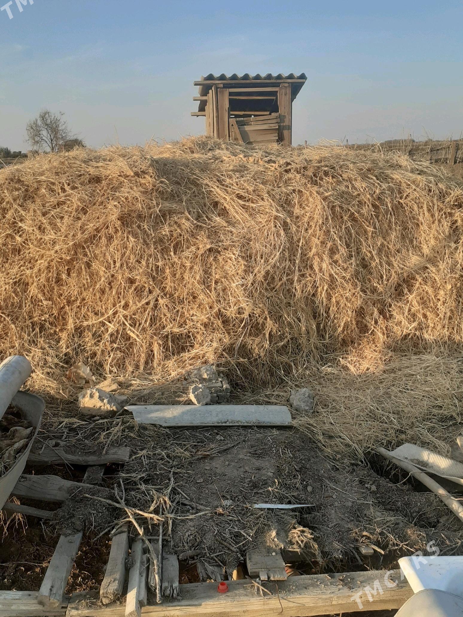 haşal yorunja garlan ot - Байрамали - img 1