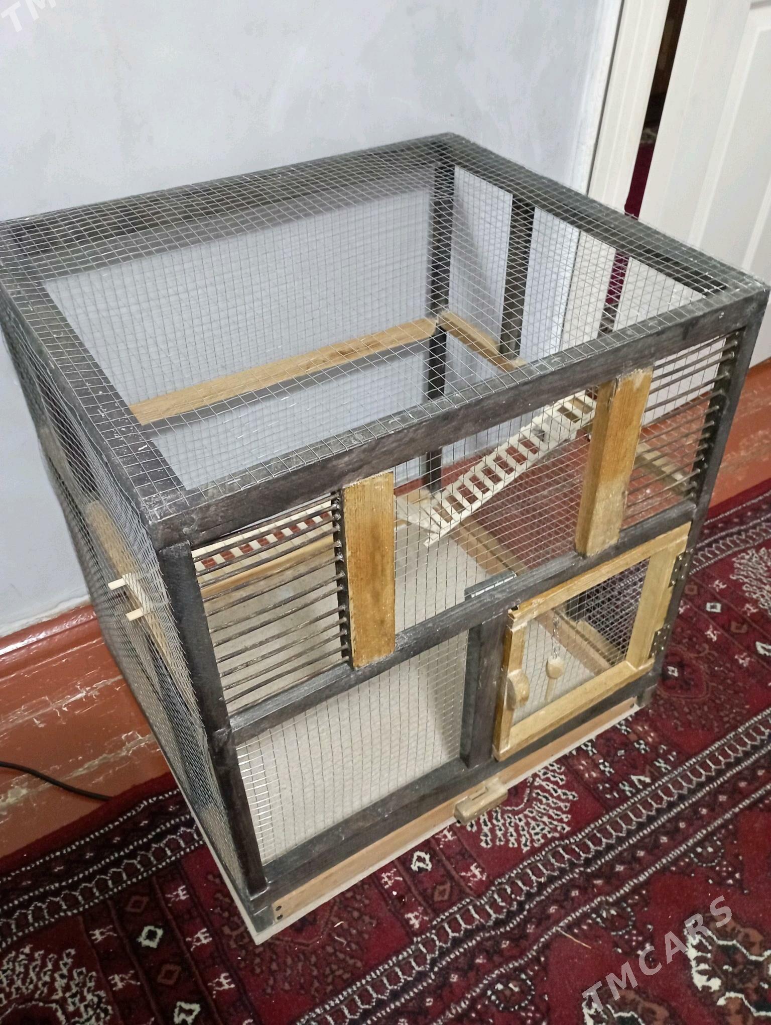 🦜 KUŞ KETEK 🦜 - Türkmenabat - img 4