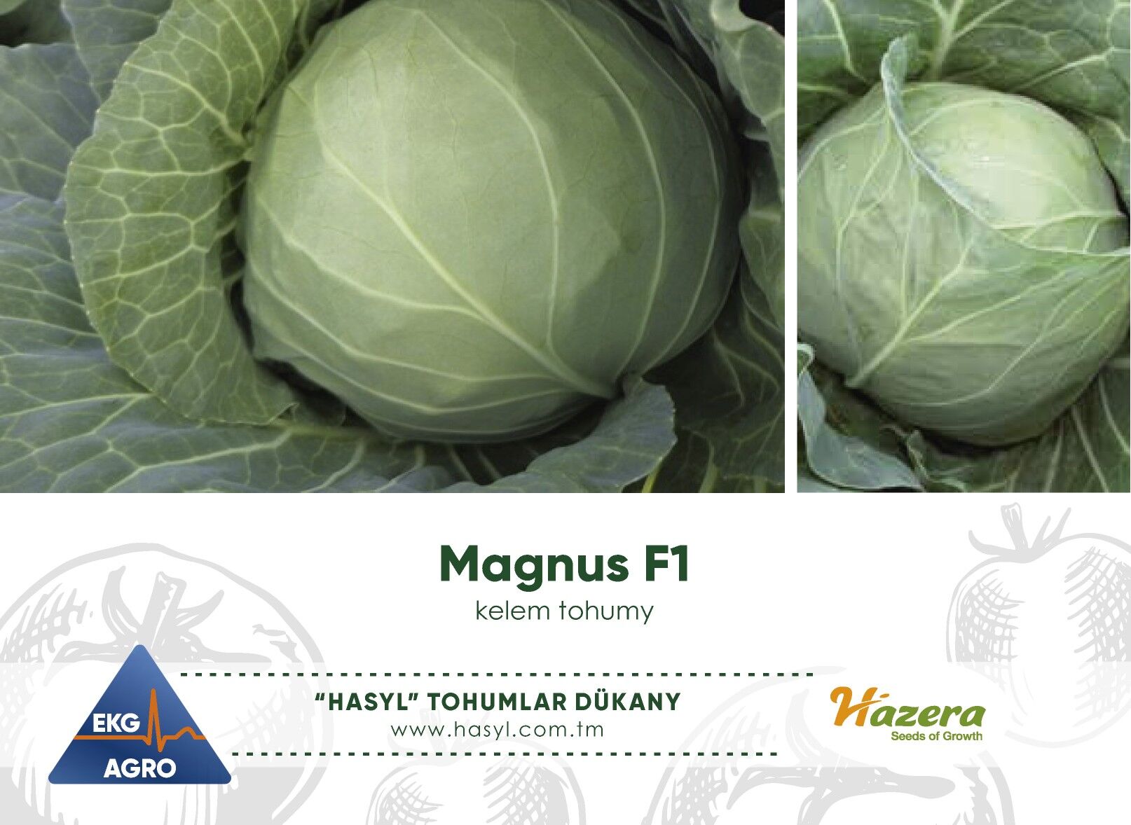 EKG AGRO (tohumlar we gazon) - Ашхабад - img 5