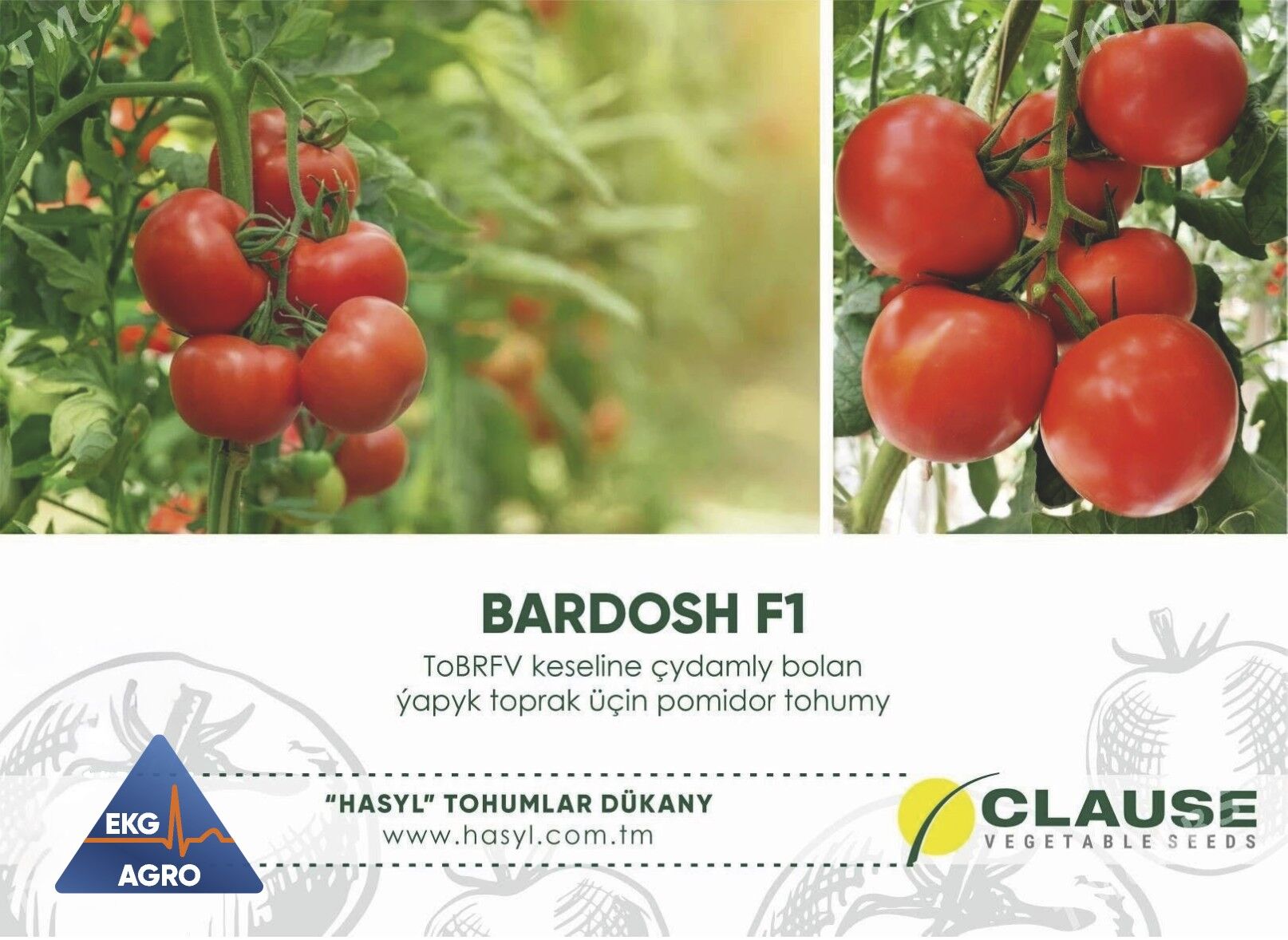 EKG AGRO (tohumlar we gazon) - Ашхабад - img 7