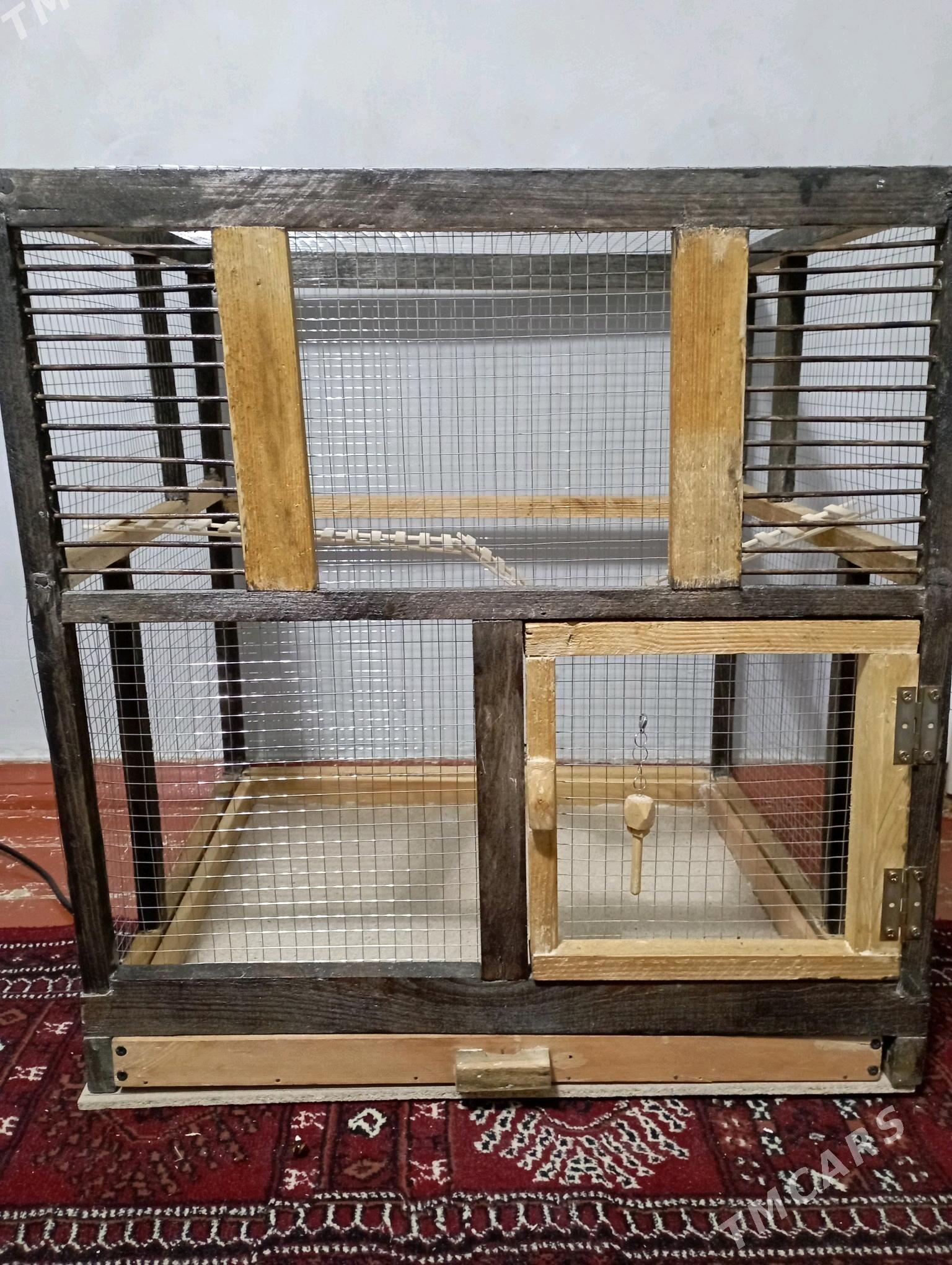 🦜 KUŞ KETEK 🦜 - Türkmenabat - img 1