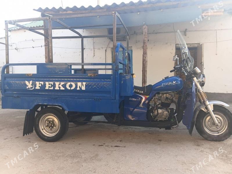 Fekon FK200-14G 2013 - 19 000 TMT - Гёкдже - img 3