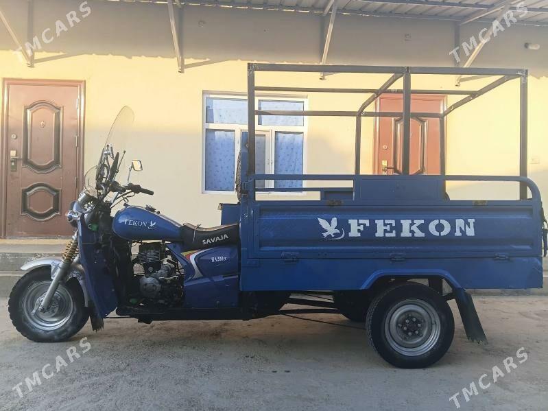 Fekon FK200-14G 2013 - 19 000 TMT - Гёкдже - img 1