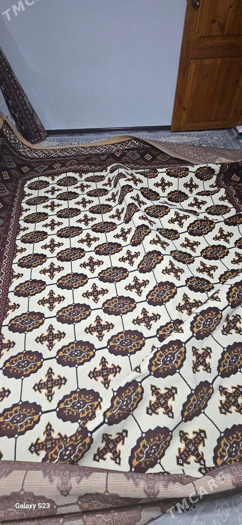 Haly - Мир 2 - img 2