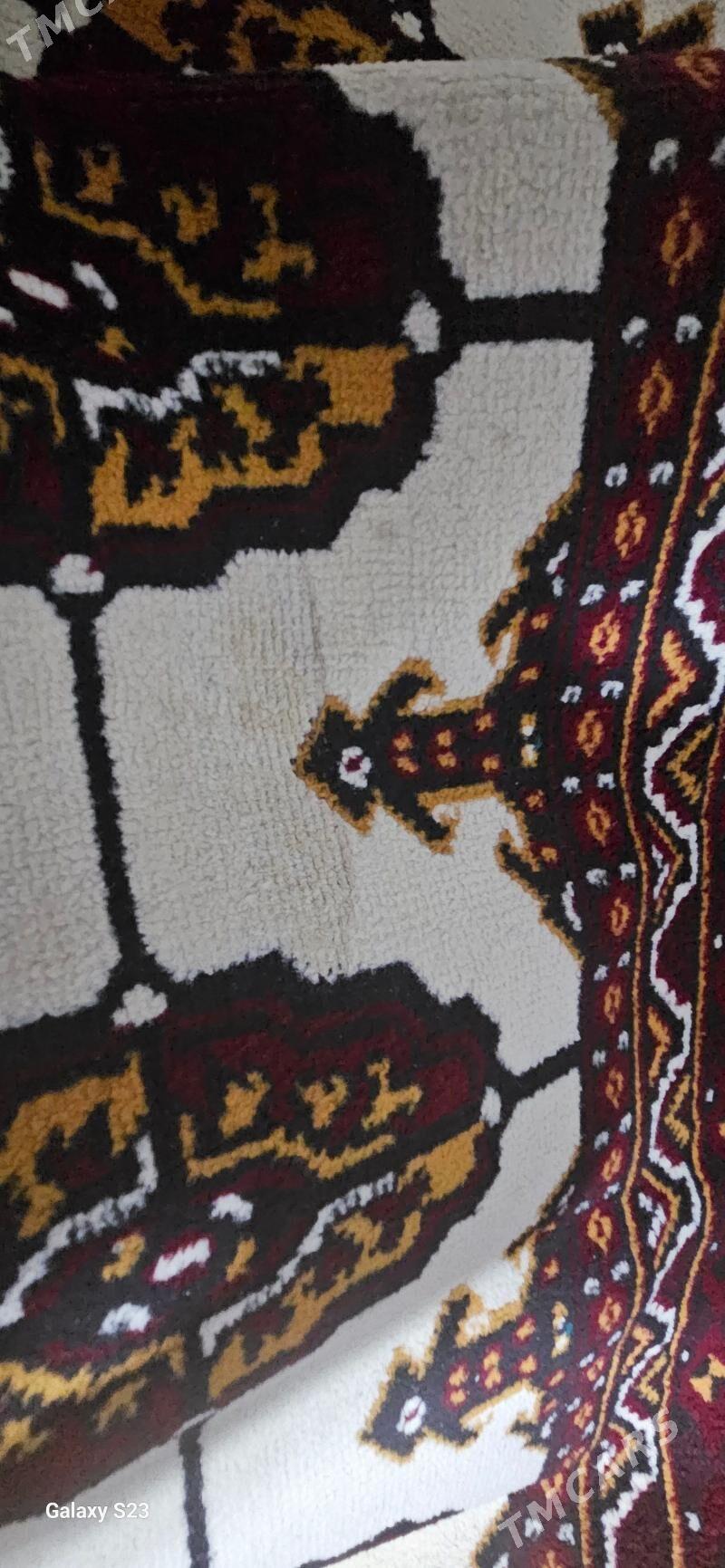 Haly - Мир 2 - img 4