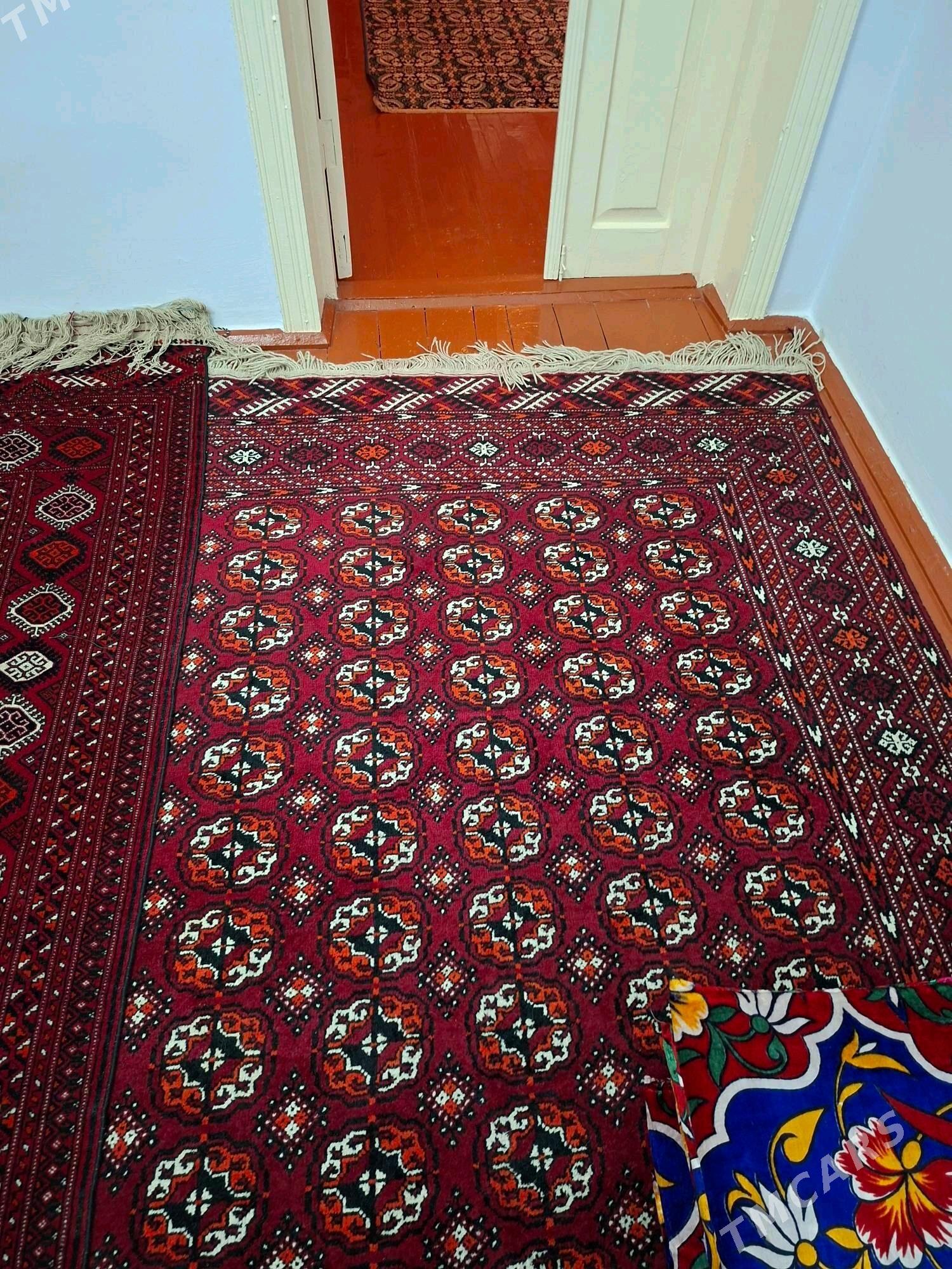 El haly - Daşoguz - img 1