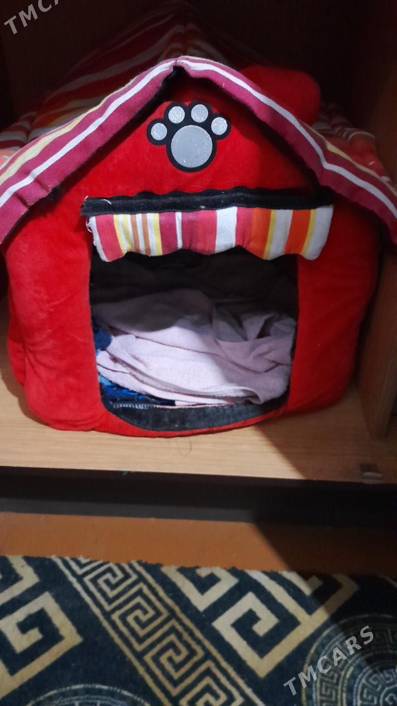 pişik - 11 мкр - img 5