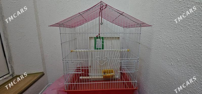 клетка - Ашхабад - img 3