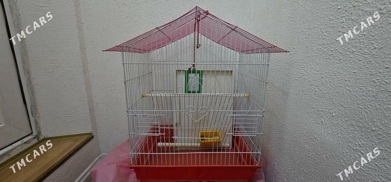 клетка - Ашхабад - img 2