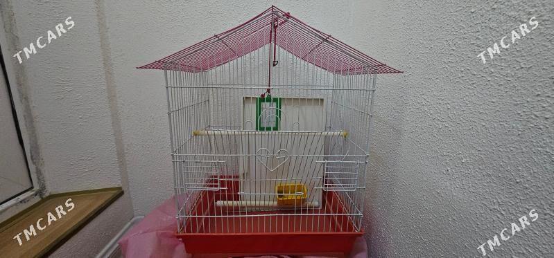 клетка - Ашхабад - img 1