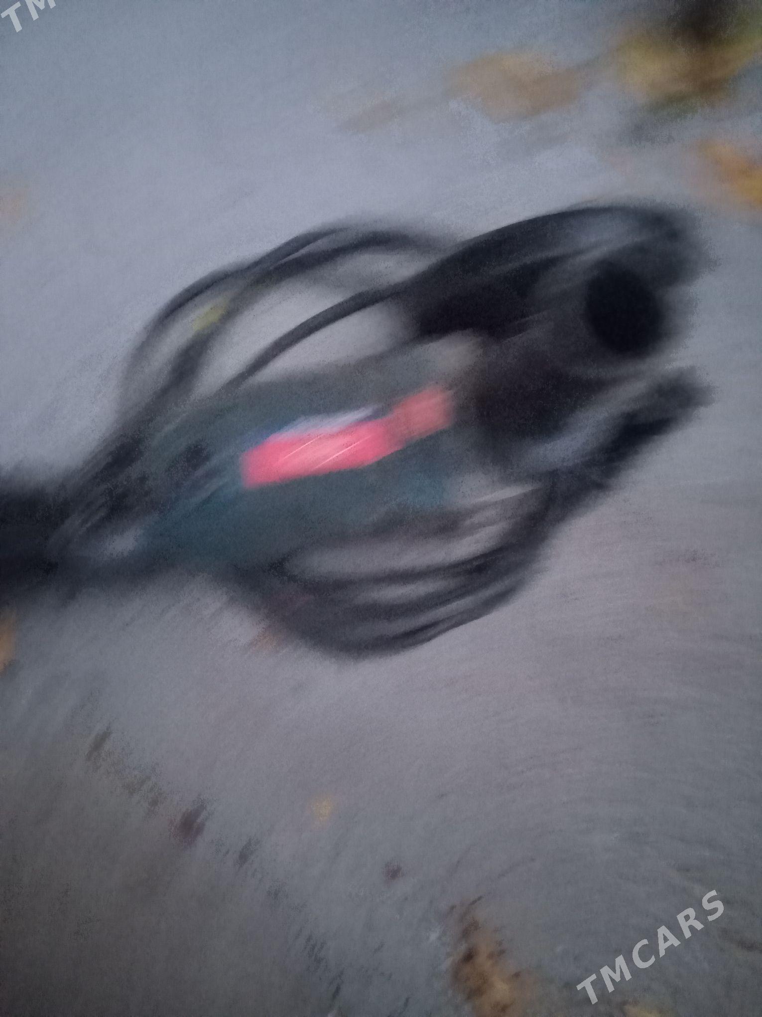 balgarka - Türkmenabat - img 2