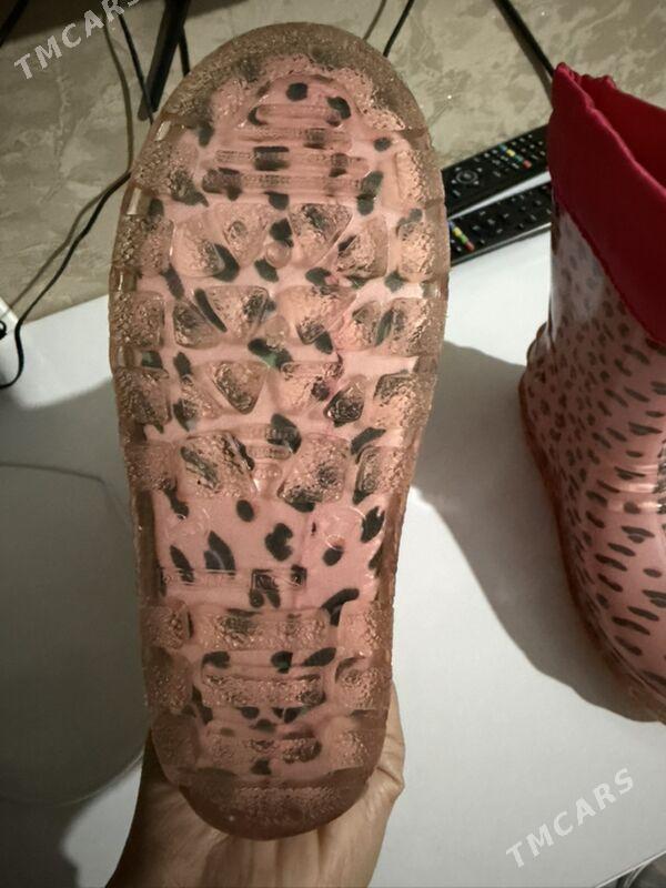 Дождивики - Ашхабад - img 3