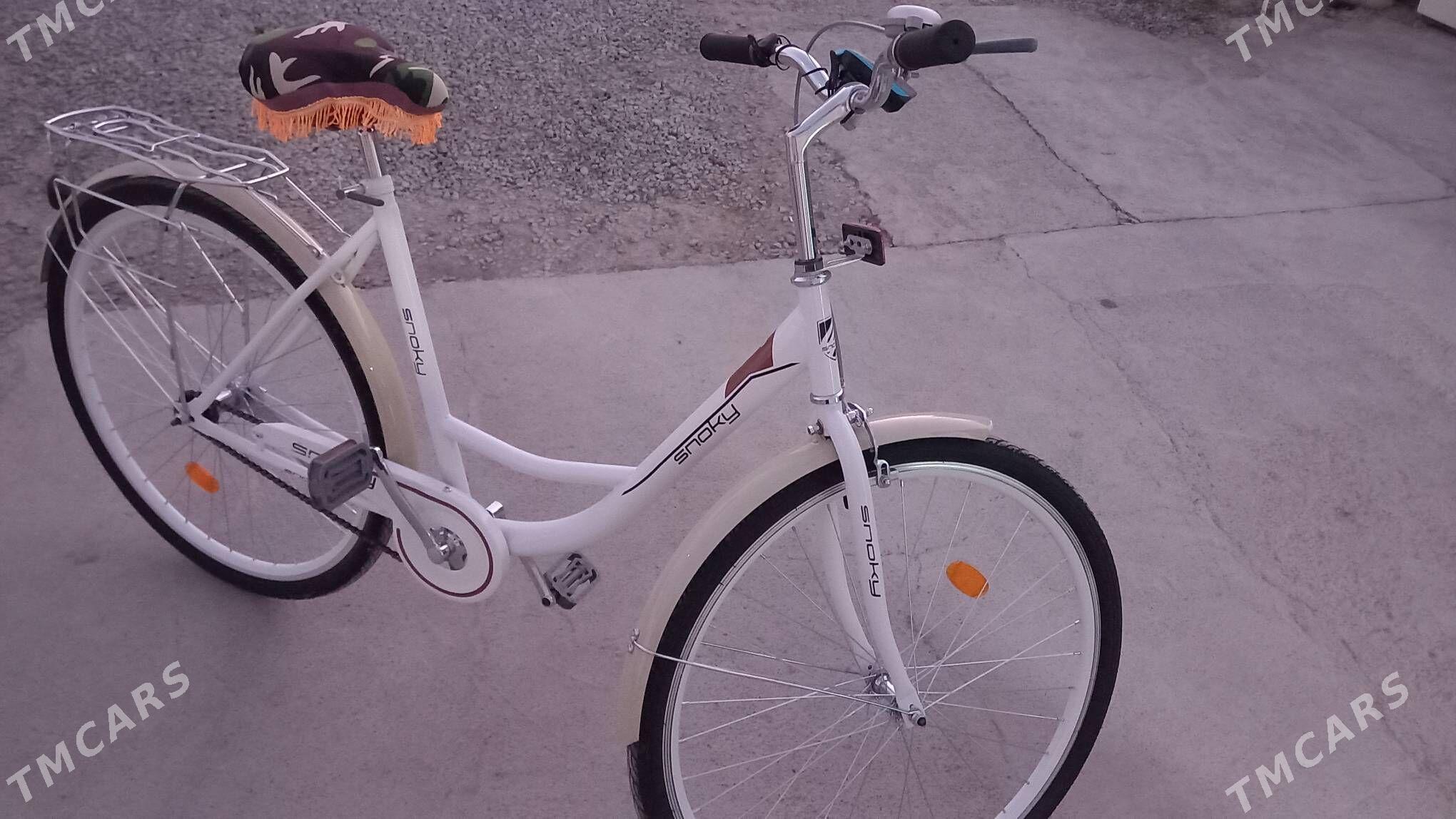 tigir - Gyzylarbat - img 2