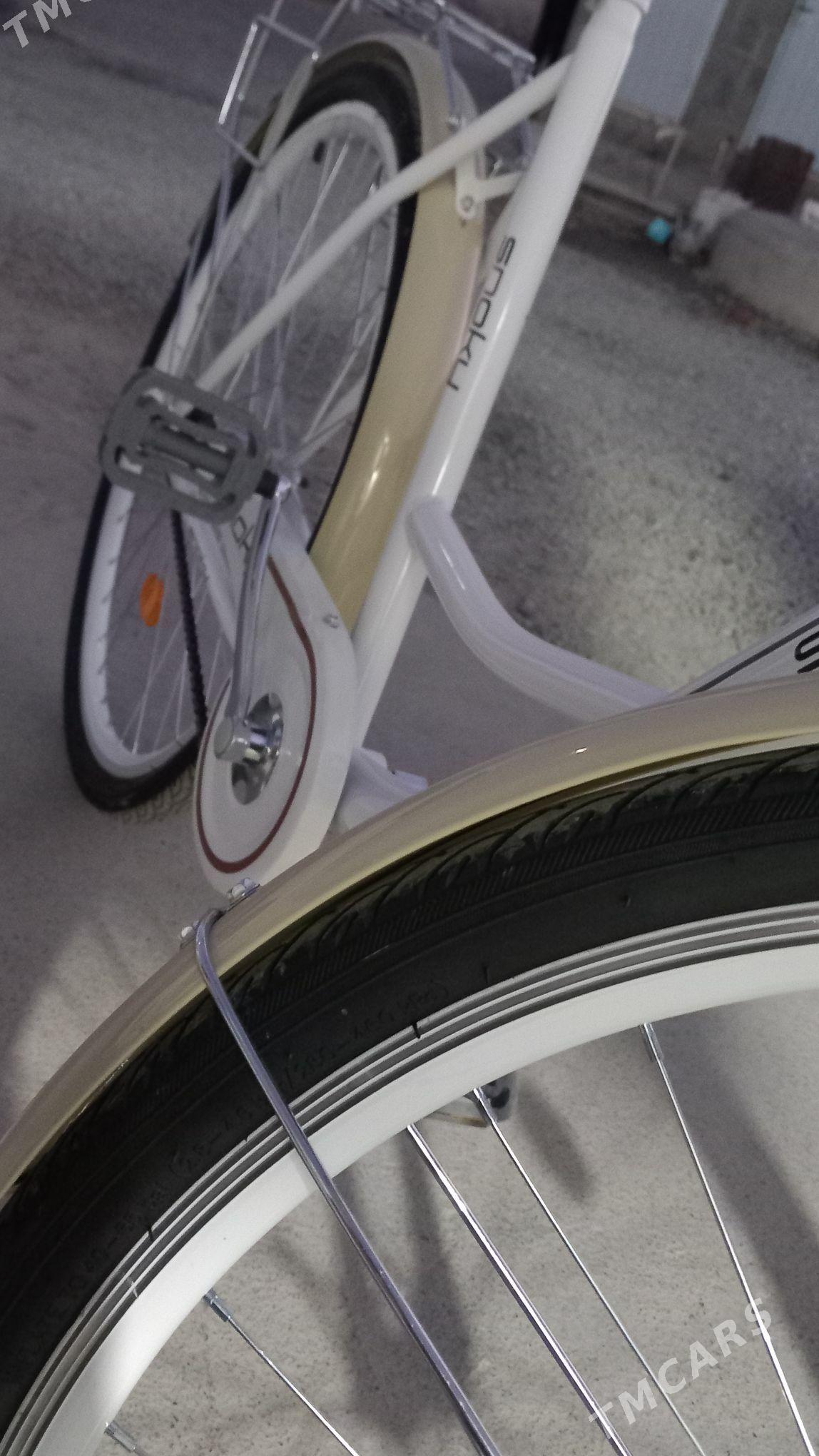 tigir - Gyzylarbat - img 3