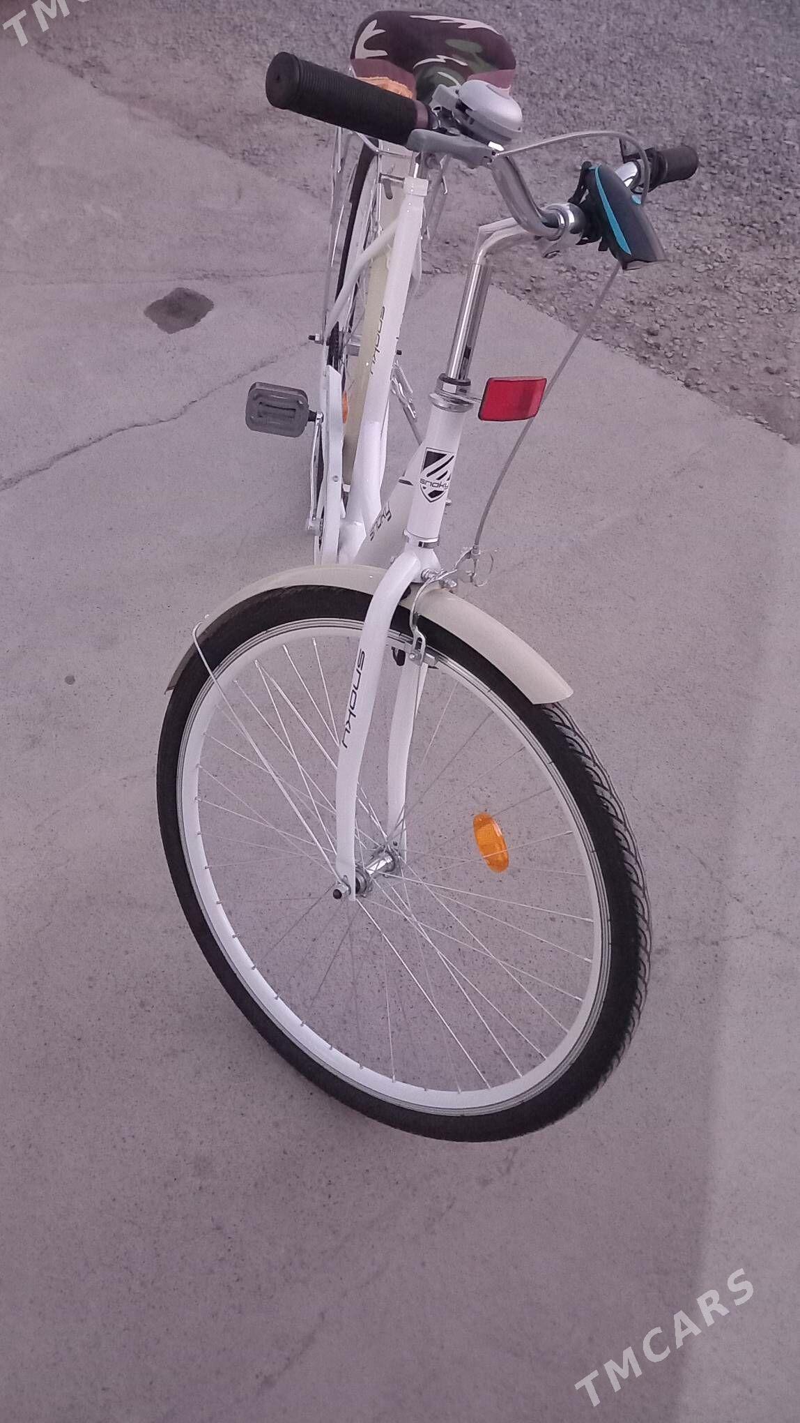 tigir - Gyzylarbat - img 1