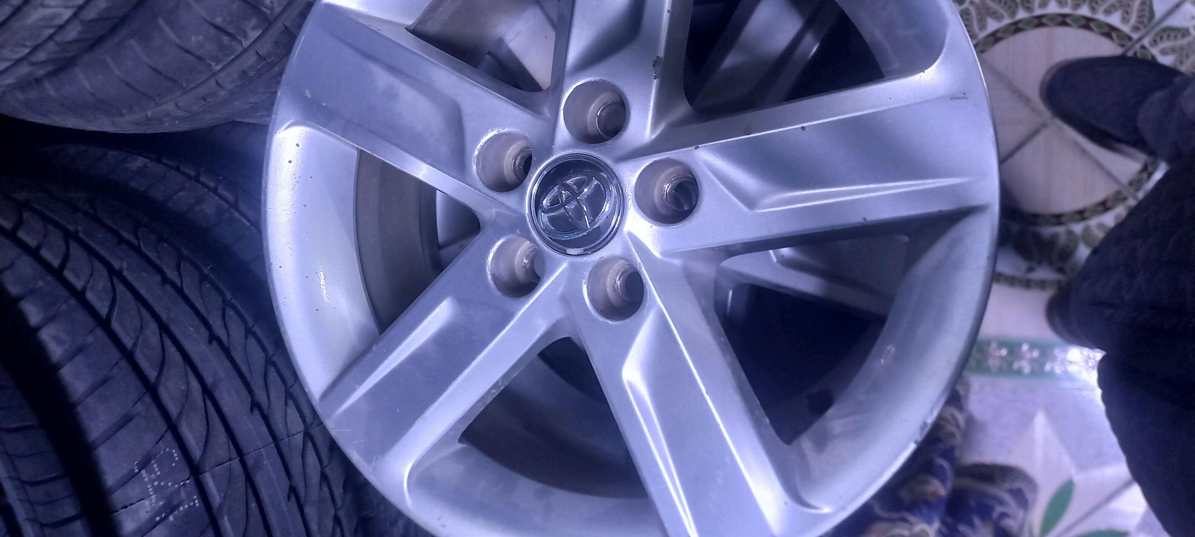 radnoy palta cemry 17 lik 3 500 TMT - Кака - img 1