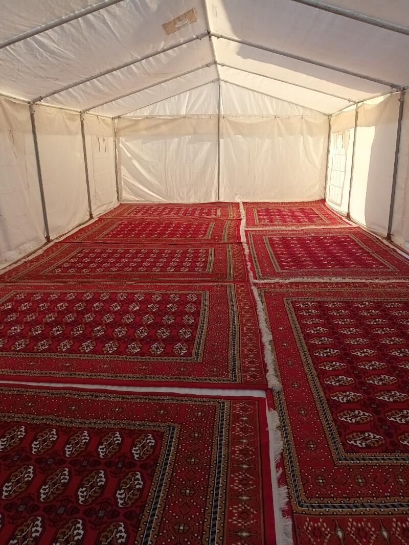 toy hyzmatlary - Mary - img 3