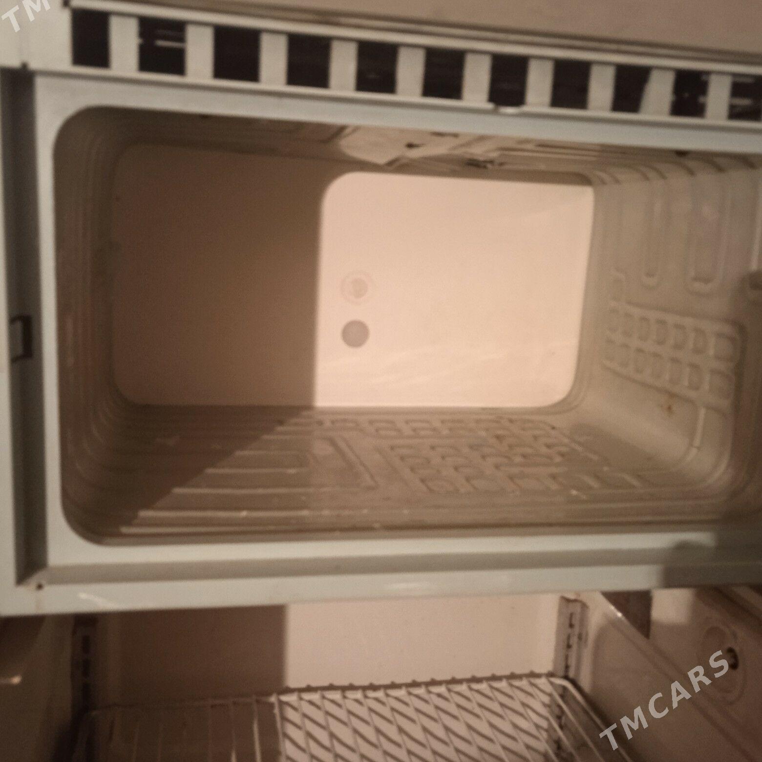 Holodilnik - Mary - img 3