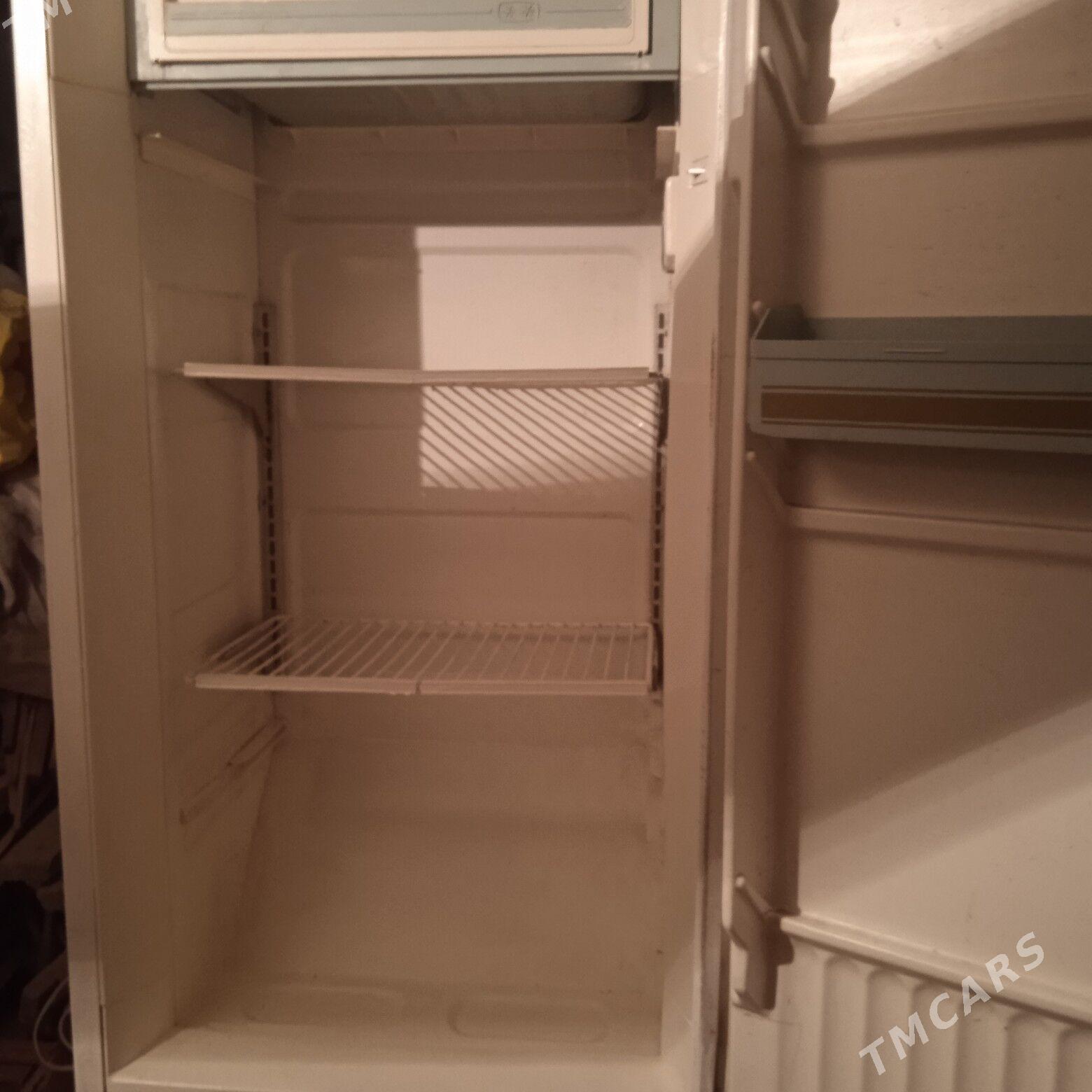 Holodilnik - Mary - img 1