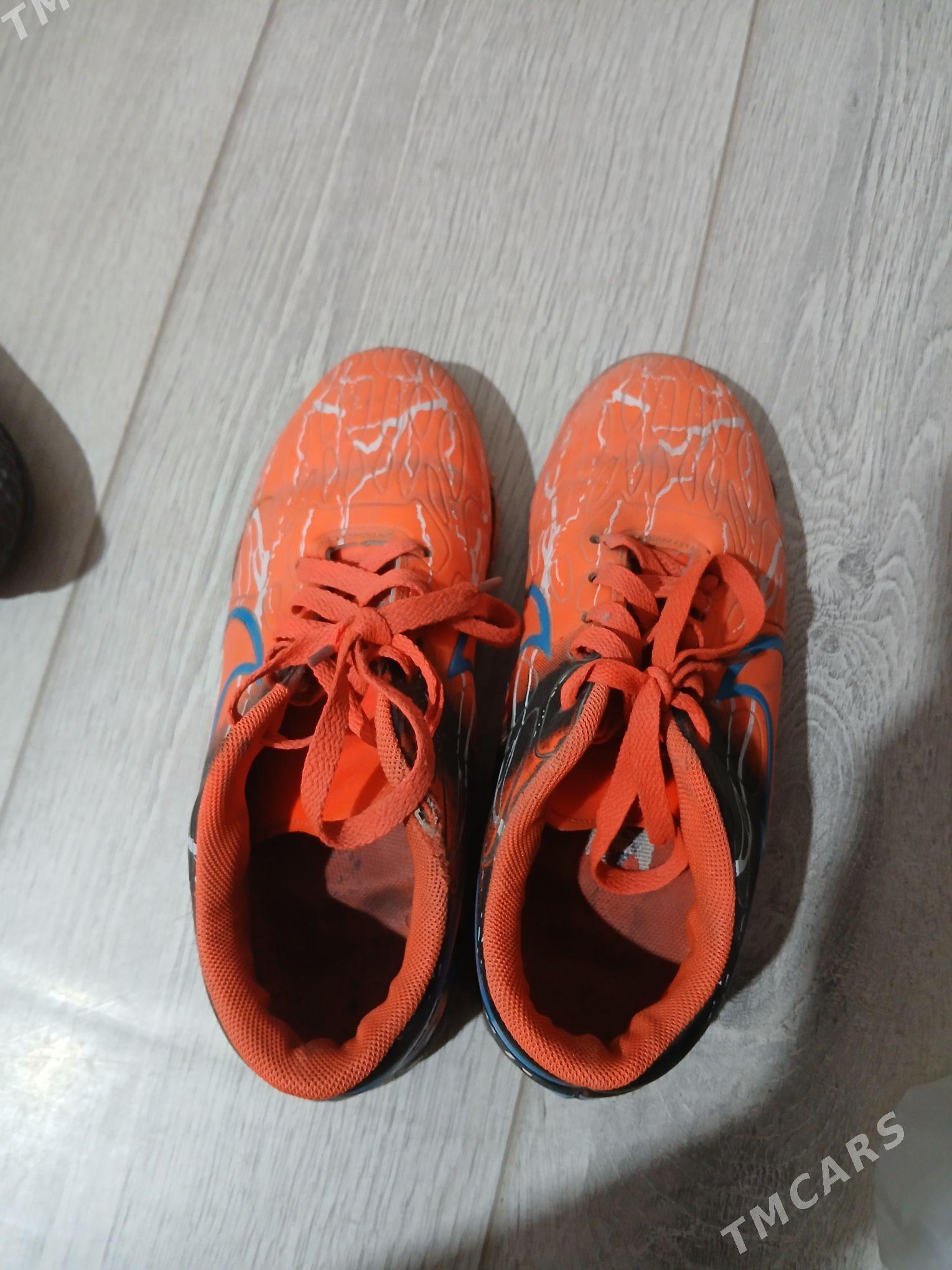 borsovki - Türkmenabat - img 2