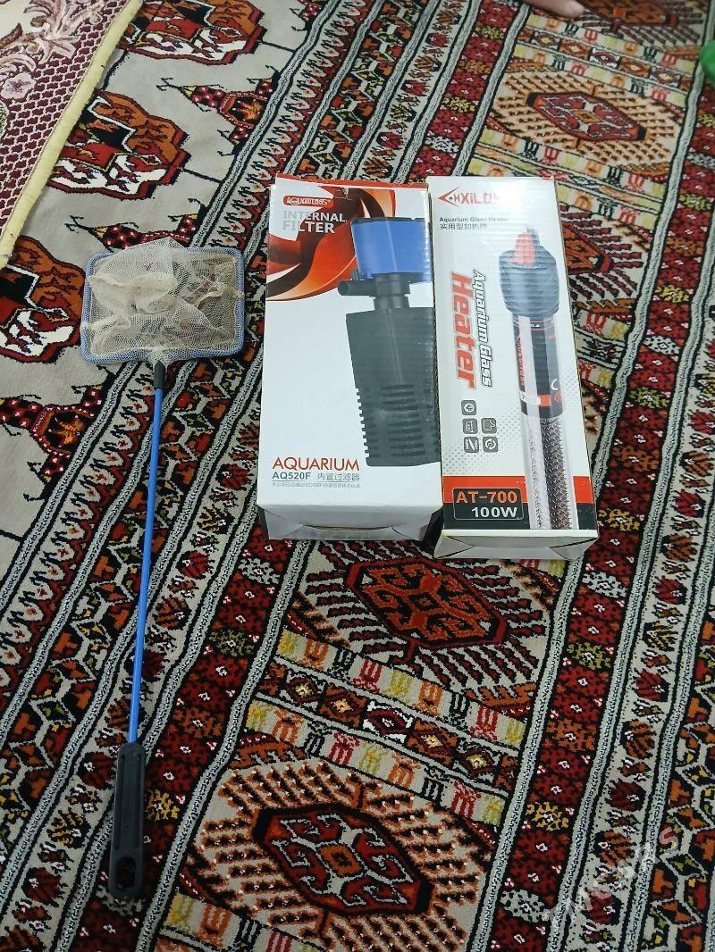 akvaryuma - Туркменбаши - img 2