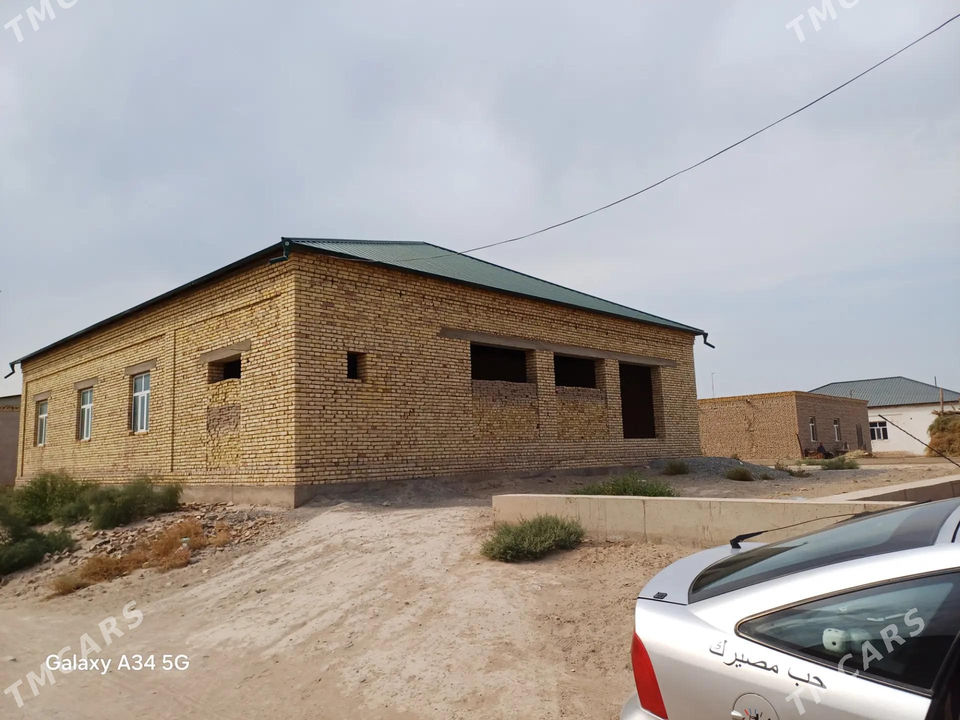 gulustan jay - Daşoguz - img 1