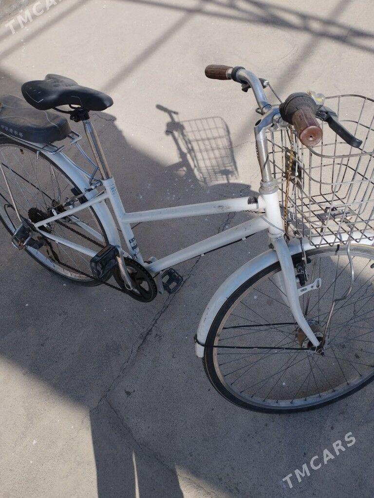 Tigir 26 lyk Yapon - Büzmeýin - img 1