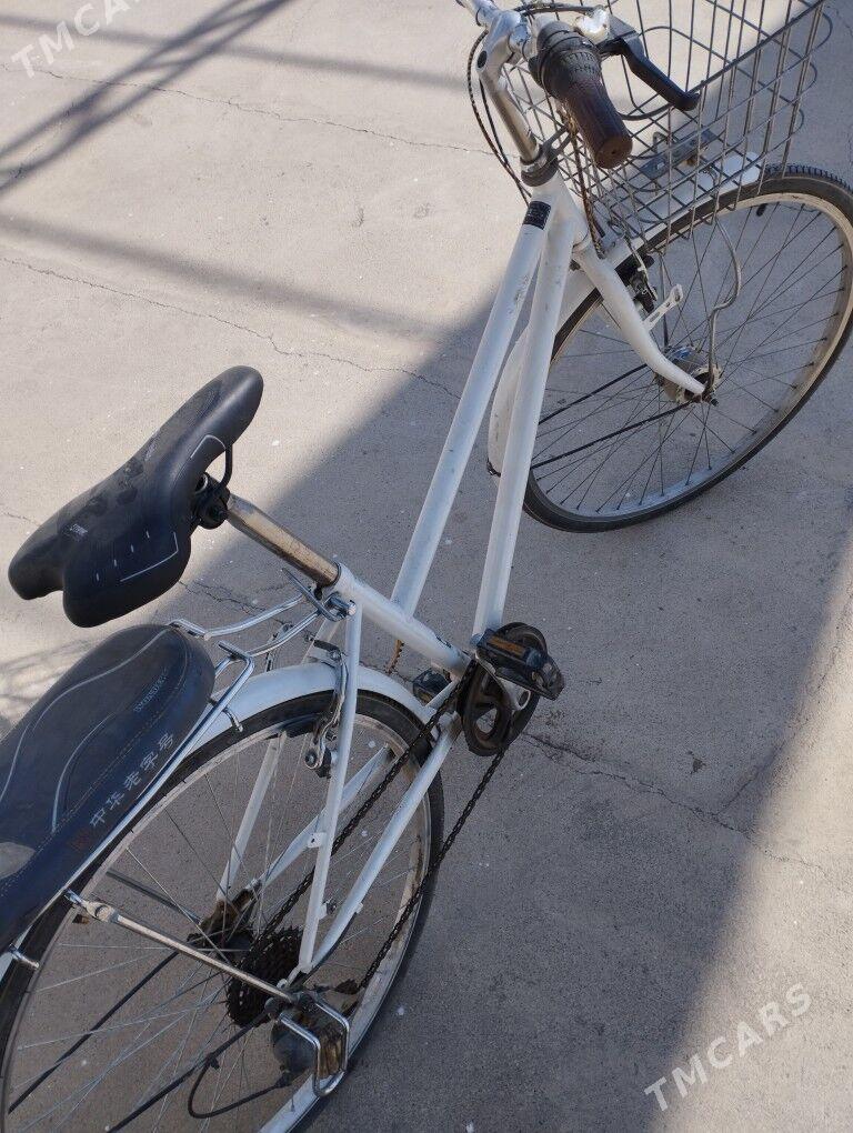 Tigir 26 lyk Yapon - Büzmeýin - img 3