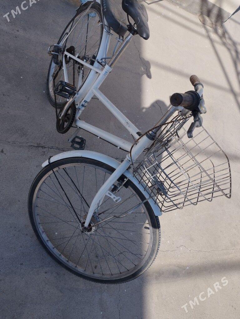 Tigir 26 lyk Yapon - Büzmeýin - img 2