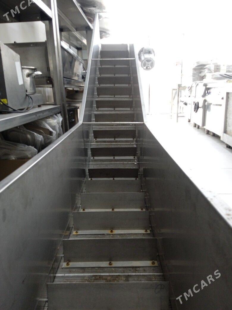 transpartiyor - Mary - img 2