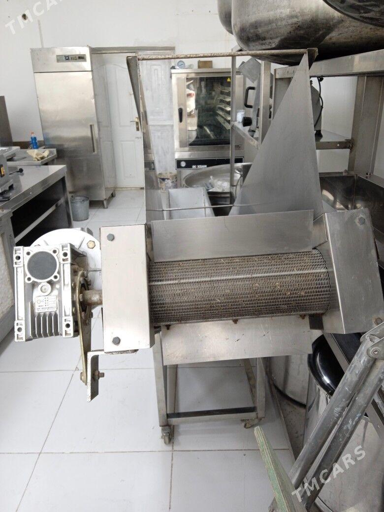 transpartiyor - Mary - img 4