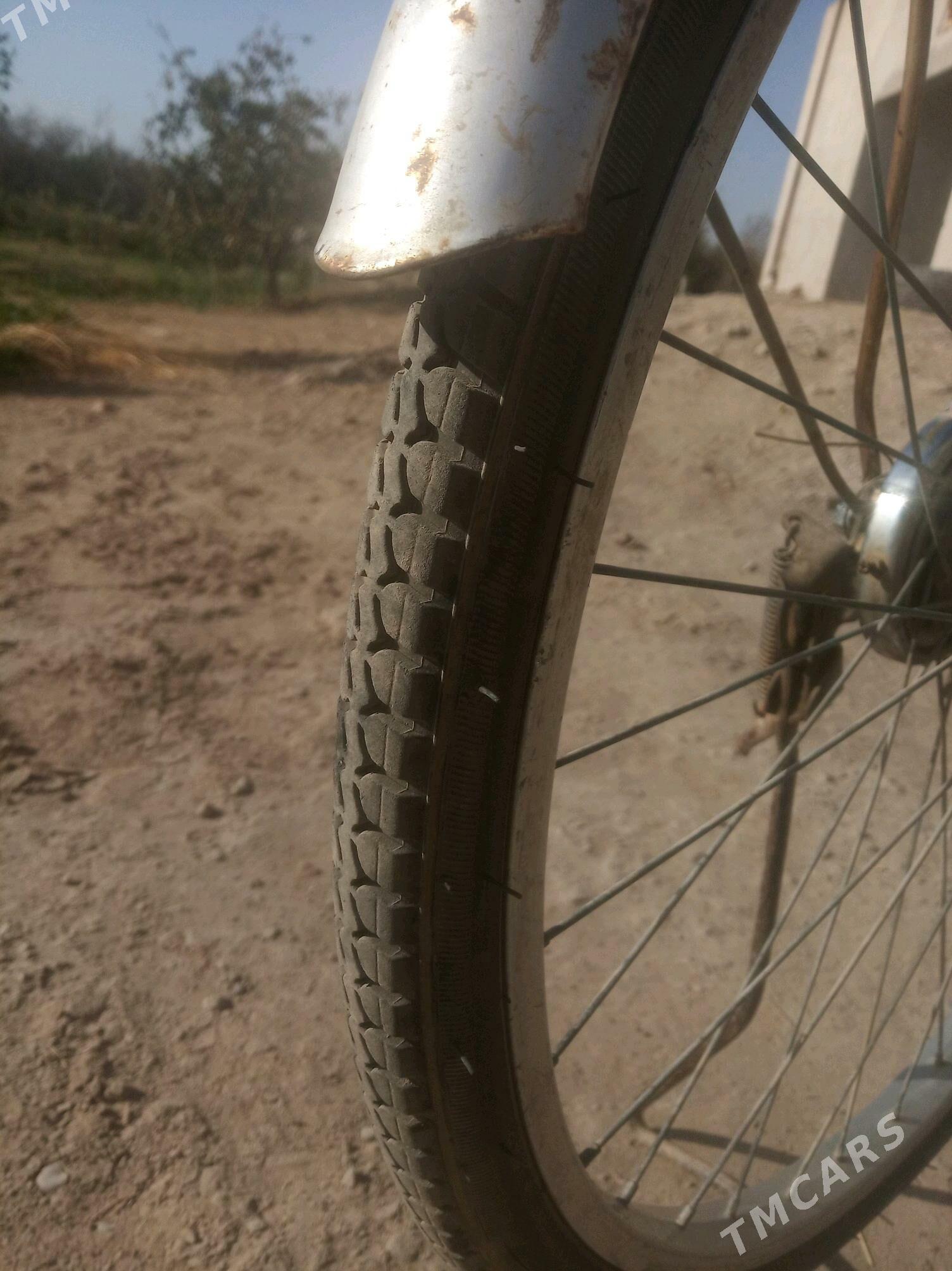 welisoped - Сакар - img 2