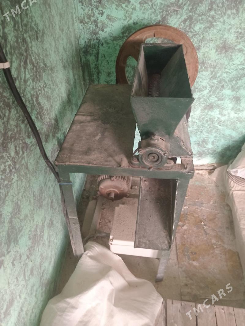 Nan uwyan - Tejen - img 3