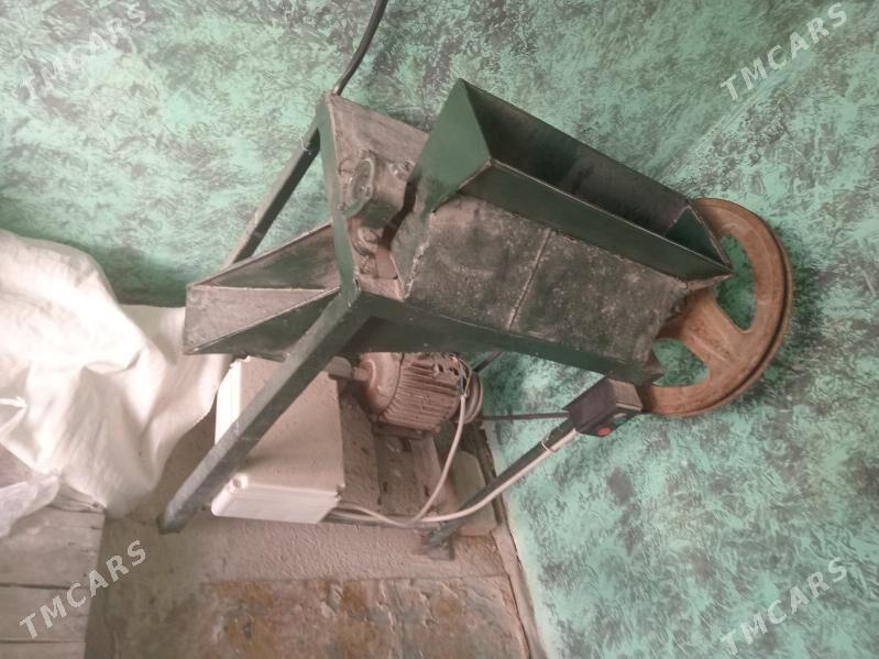 Nan uwyan - Tejen - img 2