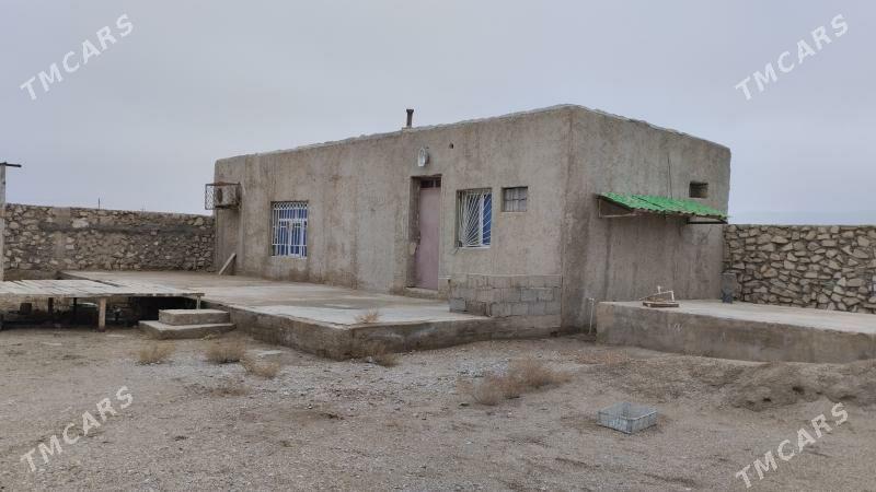 orbita daç - Balkanabat - img 1