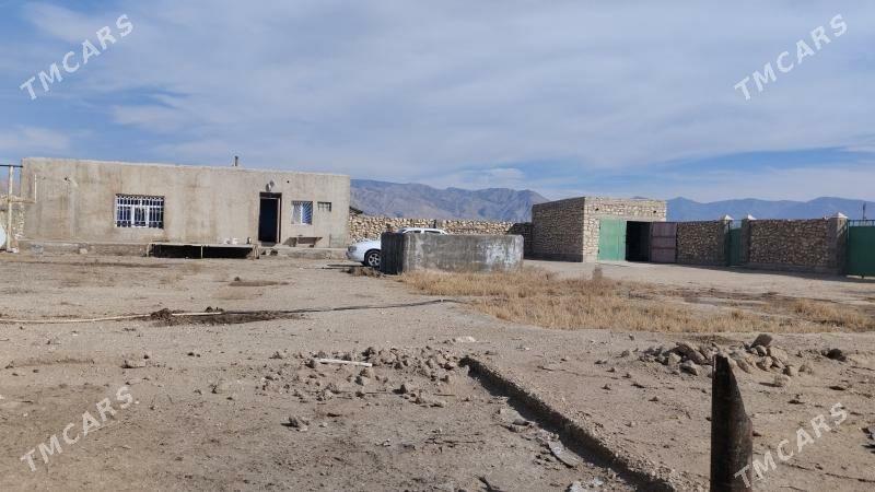 orbita daç - Balkanabat - img 2